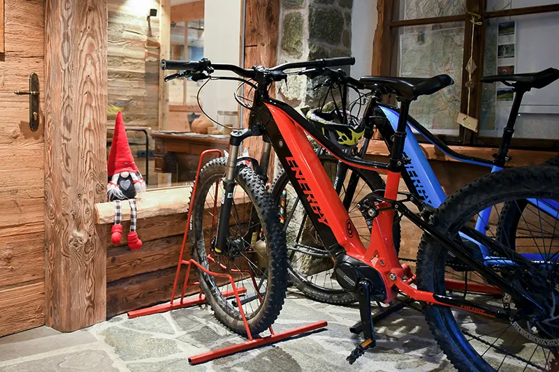 Agriroom-ebike.webp