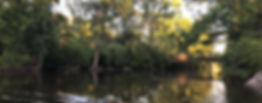 image1.jpeg