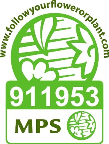 Vignet MPS-ABC EN-911953_edited.jpg