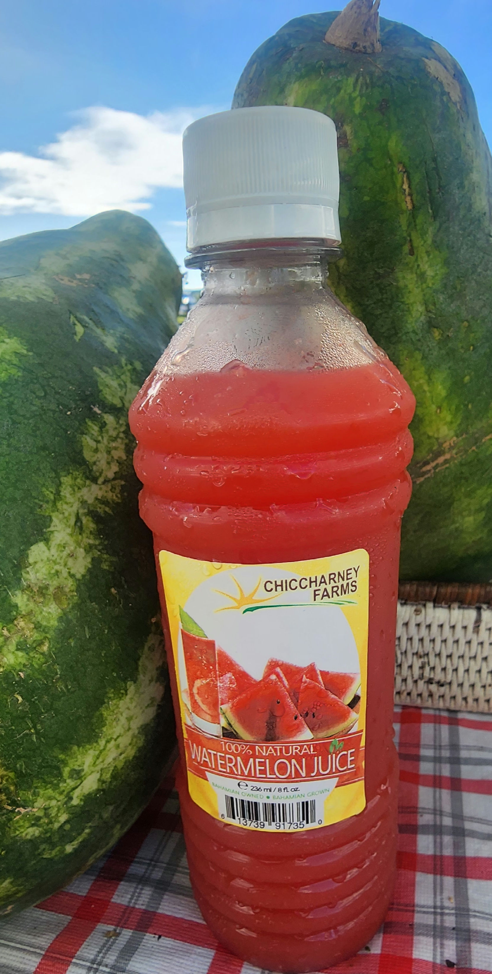 Watermelon Juice  (Sold in Bundles)