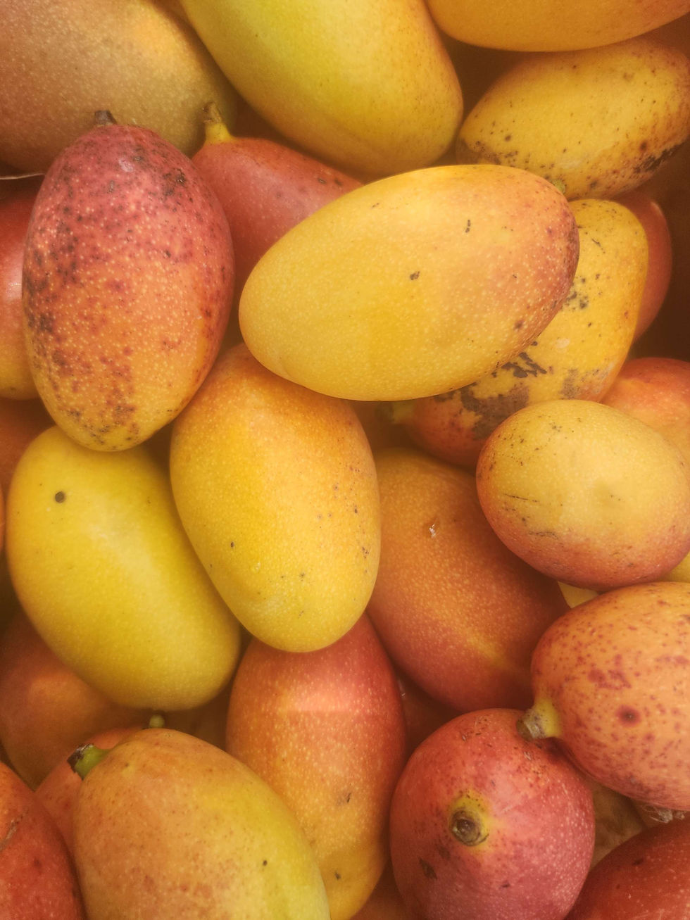 Thumbnail: Palmer Mangoes