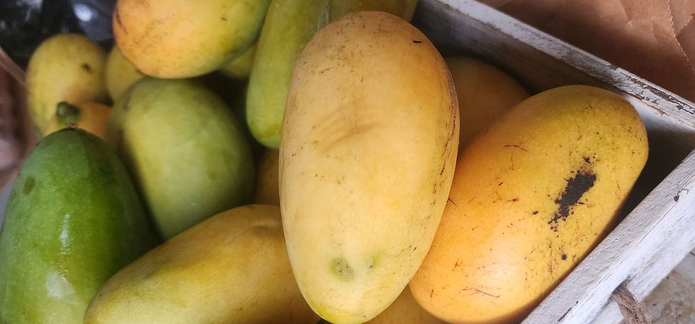 Thumbnail: Summer Mangoes -Number 11's (lots of fibre)