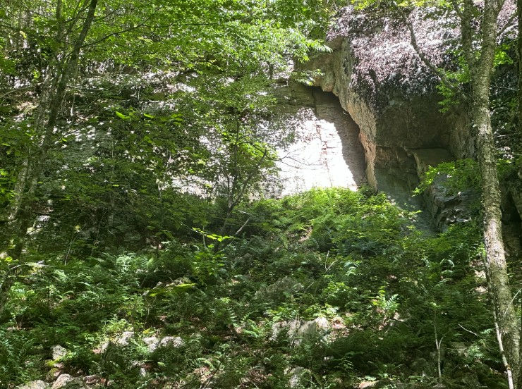 Among the sites we're monitoring in the Monadnock Region this summer is this beautiful open rock face. Its southern aspect and overgrown talus slope, rising from a northern hardwood forest, make it an especially interesting location for acoustic bat monitoring. Photo credit: Jaime McGuigan, Access Conservation.