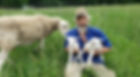 Bascom Farms, sheep and lambs. Image Credit: Bascom Farms