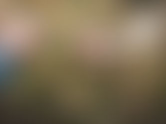 Citizen Science: The Community Movement at the Backbone of Environmental Research