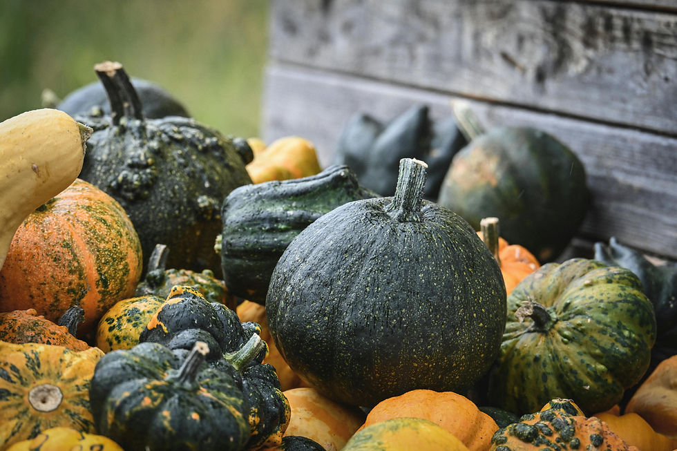REAPing the Benefits of Farm Grant Opportunities!