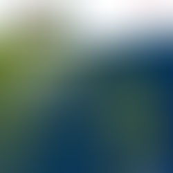 Finding and building consensus in kidney cancer trials