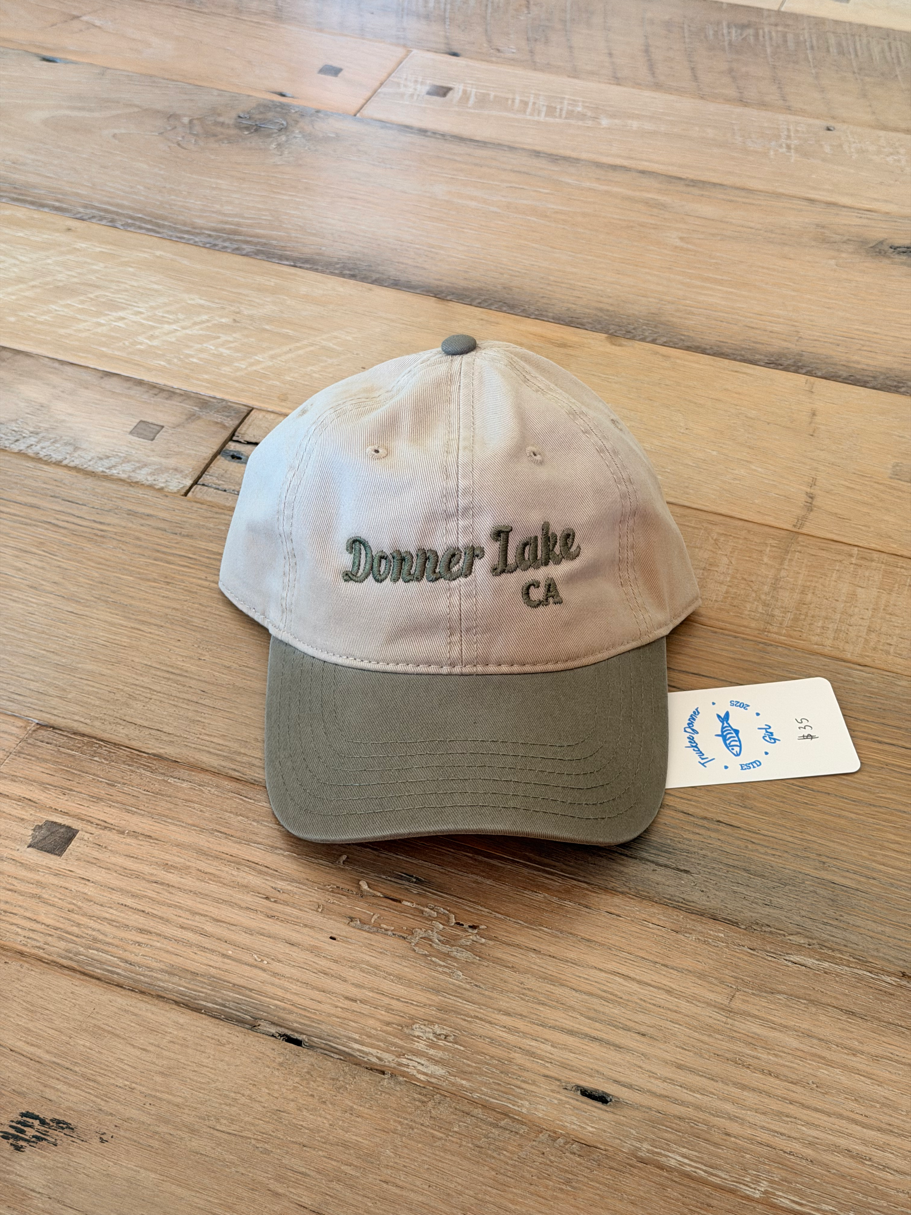 Embroidered Dad Hat in Algae Green