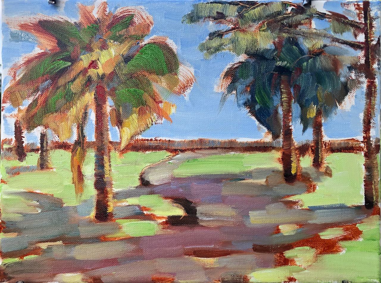 Lake Ida West pathway (1)