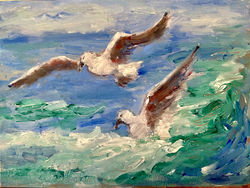 Seagulls at Boca Inlet