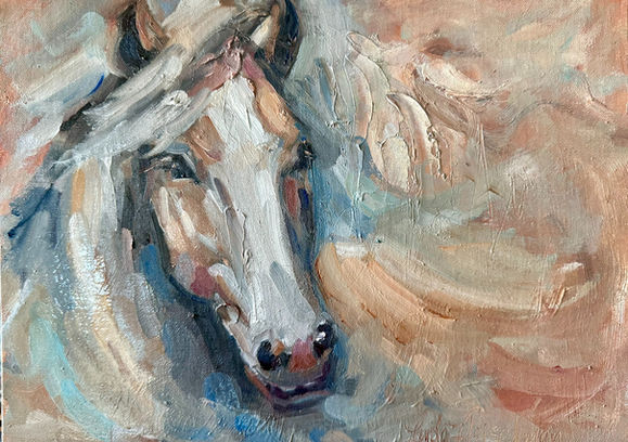 horse portrait