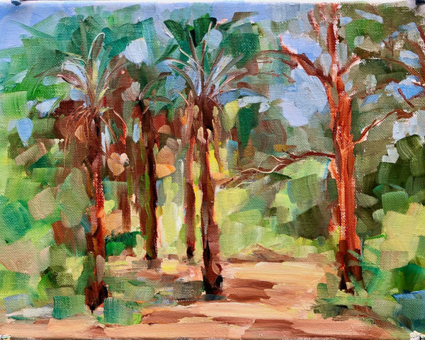 Sugar Sand Park in Boca Raton, Florida