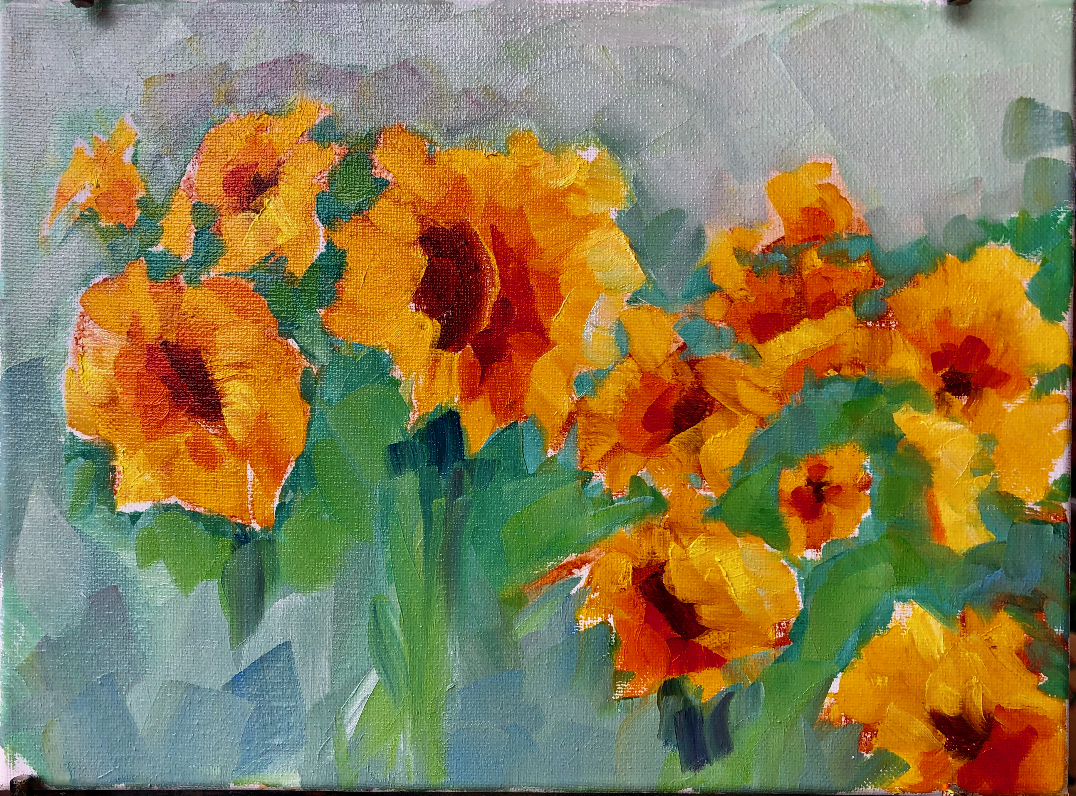 Bedner's Sunflowers Delray