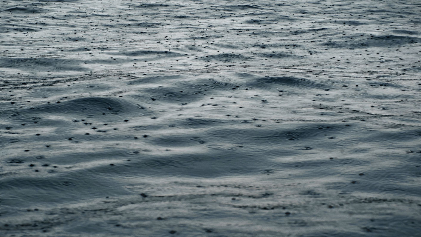 OCNF_Web_Stills 054.jpg