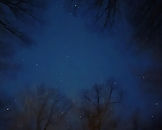 IMG_9576_edited.jpg