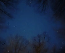 IMG_9576_edited.jpg