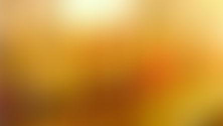 『 デザインフェスタ vol 52』 に出展します♬