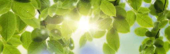 ezgif.com-gif-maker.gif