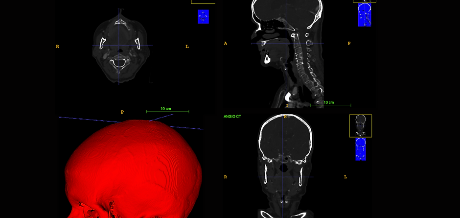 Screen Shot 2022-01-09 at 1.13.12 PM.png