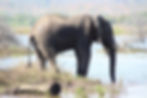 7 day southern Malawi tour- Safari ,Lake mountain