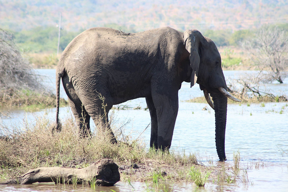 7 day southern Malawi tour- Safari ,Lake mountain