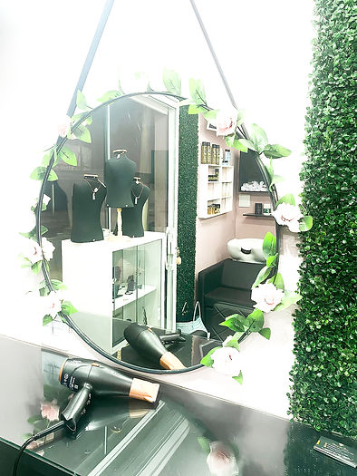 imagem 2 melhorada_edited.jpg