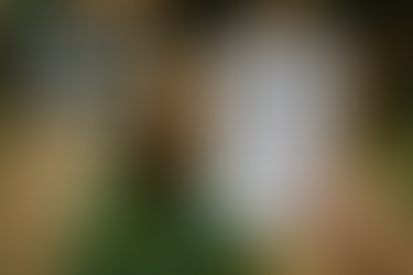 What is the rural eye health program