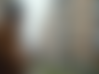 The Benefits of Hiring a Third Party Rental Inspector for Landlords and Property Managers