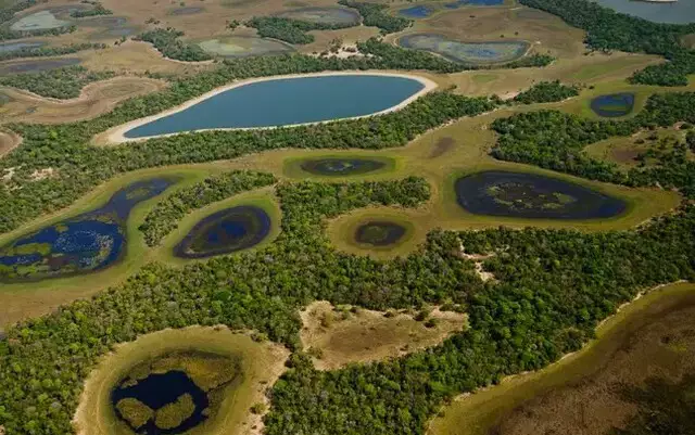 Vista aérea de área alagada no Pantanal (Foto: Divulgação/SOS Pantanal)