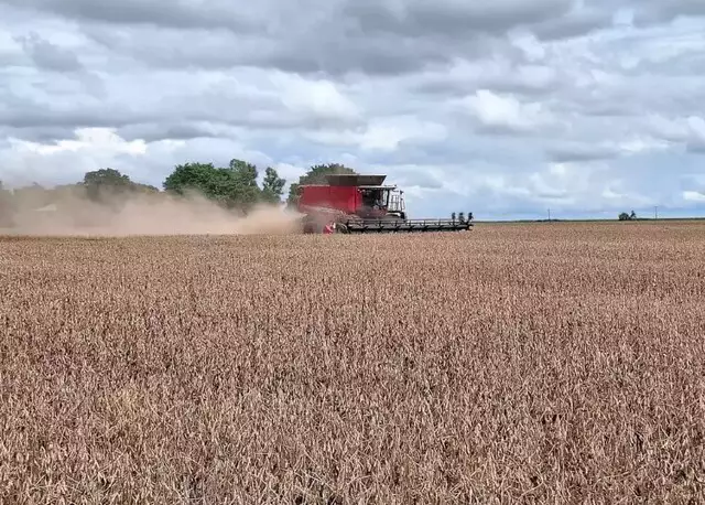 Colheita trabalhando na safra de soja 2024/2025 (Foto: Aprosoja/MS)