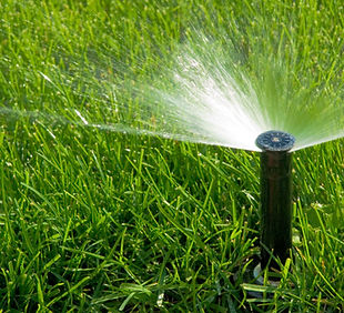 spray head 1 shutterstock_61876192.jpg