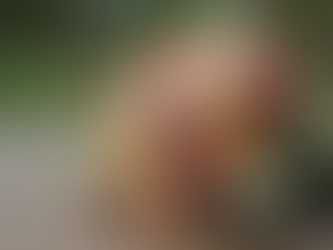 Why You Should Choose a Farmer Florist for Your Wedding Flowers