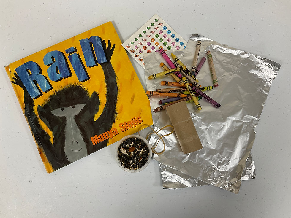 The book cover shows a smiling monkey with its arms in the air. The book is pictured with foil, a cardboard tube, crayons, stickers, and a bowl of seeds