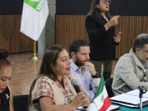 Conflicto entre diputados por la curul podría resolverse en los próximos días:  Morena