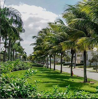 Screenshot 2025-06-21 132143.png