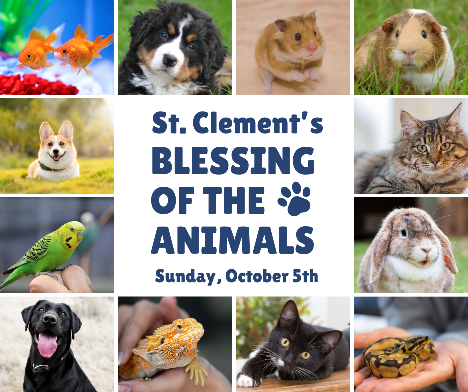 Blessing of the Animals