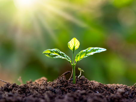 Your support has made our plans for sustained growth possible!