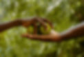 Untitled design (45)_edited.jpg
