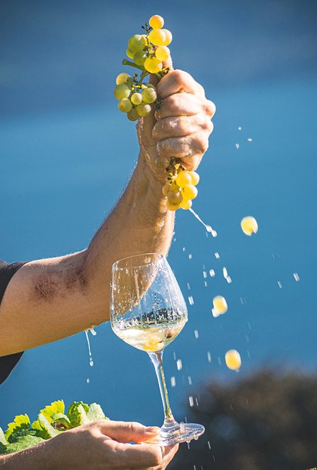 03092025-choixIND09311 ok.jpeg