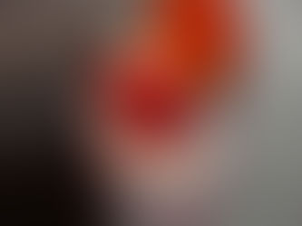 Sam Segurado Presents New Single 'Phoenix'