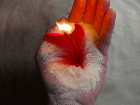 Sam Segurado Presents New Single 'Phoenix'