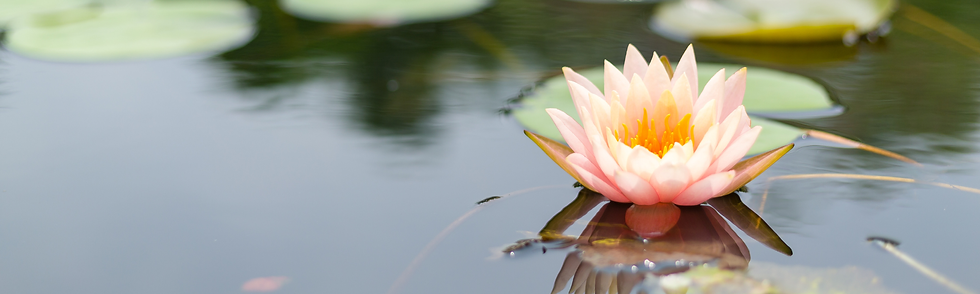 Program Hero (1).png