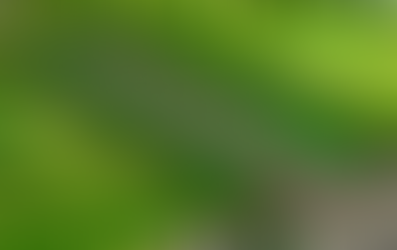 Kalpataru Plots Nagpur – Residential Plots at Samruddhi Circle, Mumbai