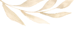 AdobeStock_874360114_22_edited.png