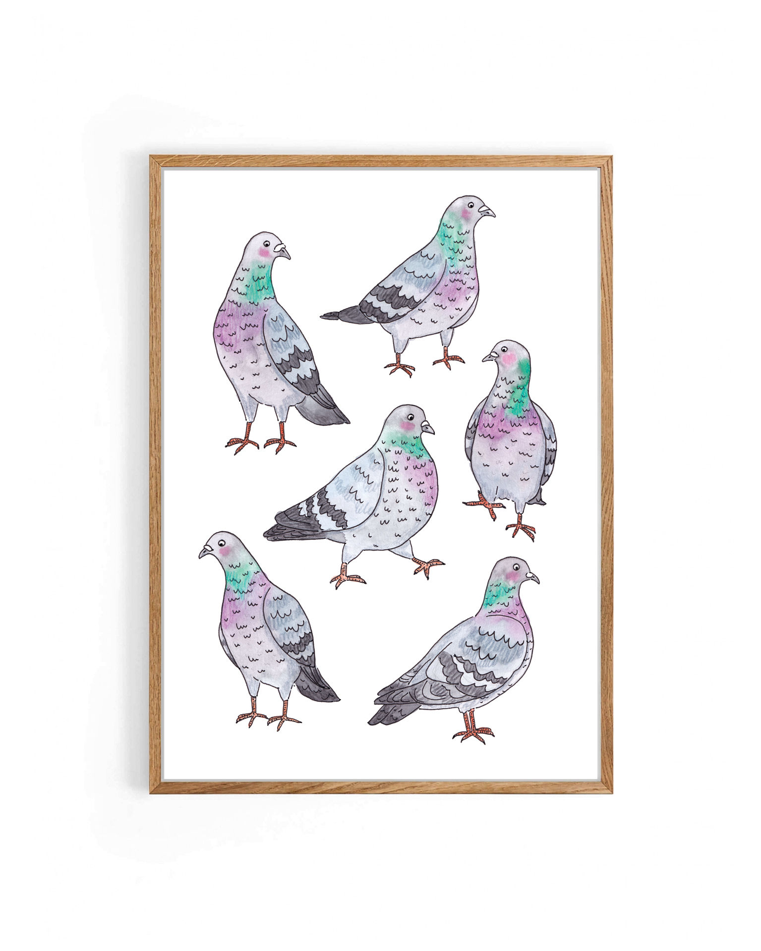 Pigeons A4 Print