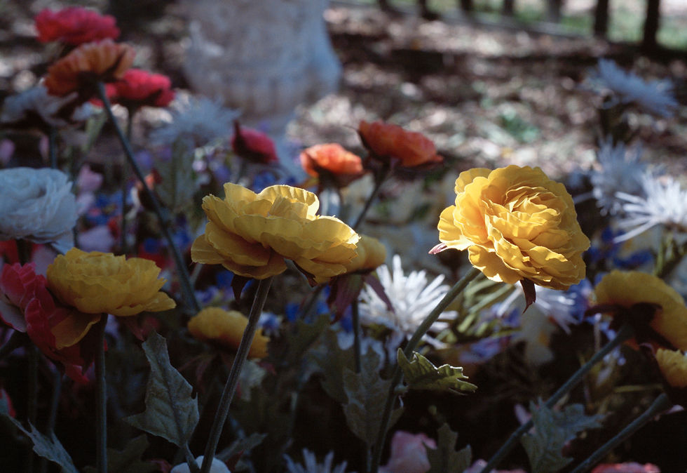 Gardenism