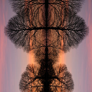 Racines carrées 3.jpg