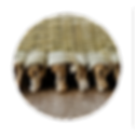 top_01.png