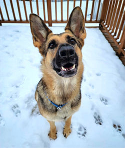 139437808_427692368683786_1218216441682100065_n_edited