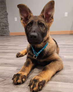 185171957_132583998909866_6390431317416666493_n_edited